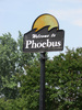 phoebus01