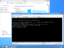 win8-x64